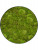 Картина из мха nova frame anthracite-concrete 100% ball moss