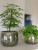 Кашпо Odile pot green