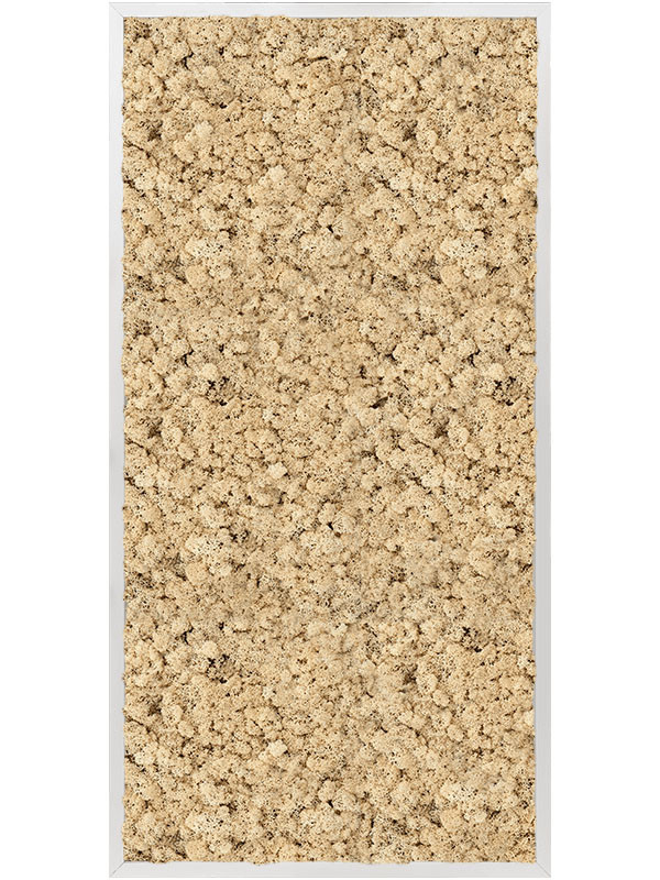 Картина из мха aluminum 100% reindeer moss (natural)