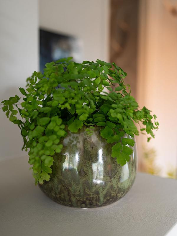Кашпо Odile pot green