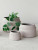Кашпо Chive orchidpot silk