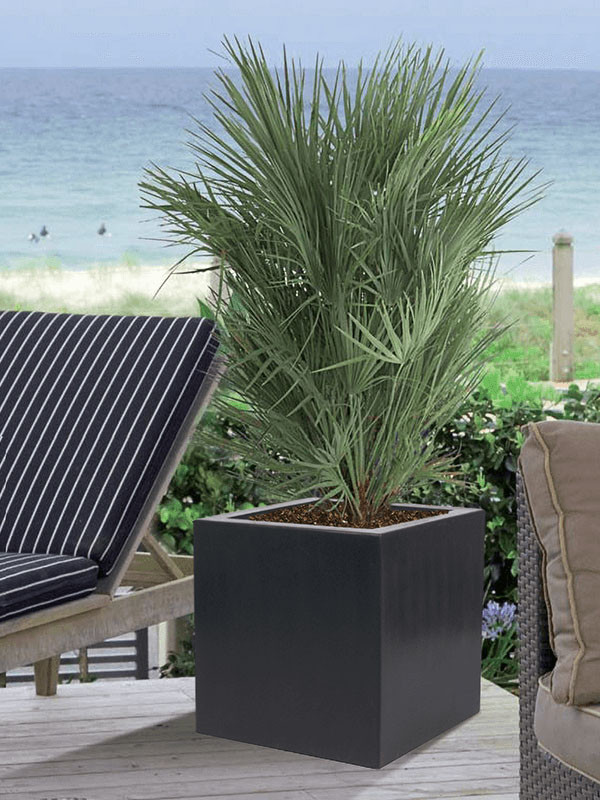 Кашпо Polycube anthracite square