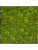 Картина из мха nova frame anthracite-concrete 100% ball moss