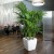 Кашпо Lechuza Quadro LS (черный лакированный) с автополивом