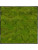 Картина из мха nova frame anthracite-concrete 100% flat moss