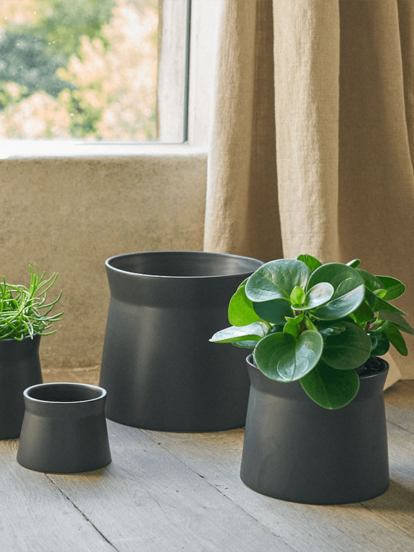 Кашпо Diabolo orchidpot black
