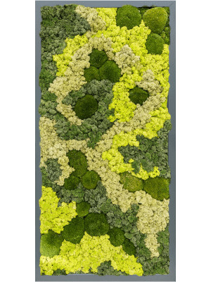 Картина из мха mdf ral 7016 satin gloss 30% ball moss 70% reindeer moss (mix)