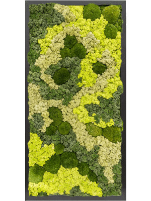 Картина из мха mdf ral 9005 satin gloss 30% ball moss 70% reindeer moss (mix)