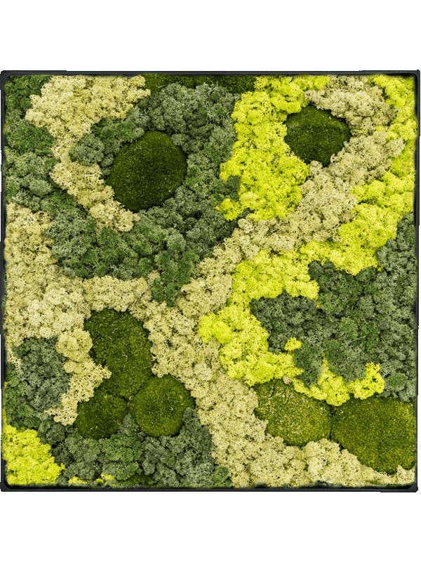 Картина из мха nova frame anthracite-concrete 30% ball moss 70% reindeer moss (mix)
