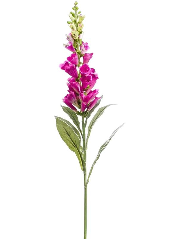 Digitalis spray fuchsia