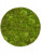 Картина из мха nova frame antique white-concrete 100% ball moss