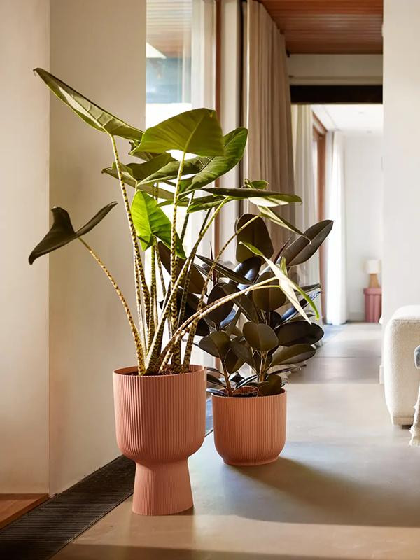 Кашпо Vibes fold coupe delicate pink