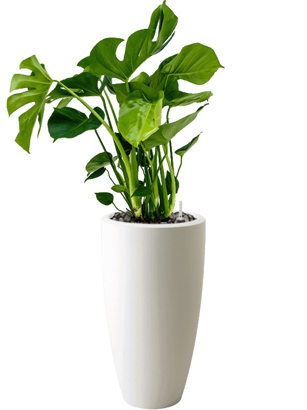 Кашпо Pure® soft round high white
