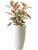 Кашпо Pure® soft round high white
