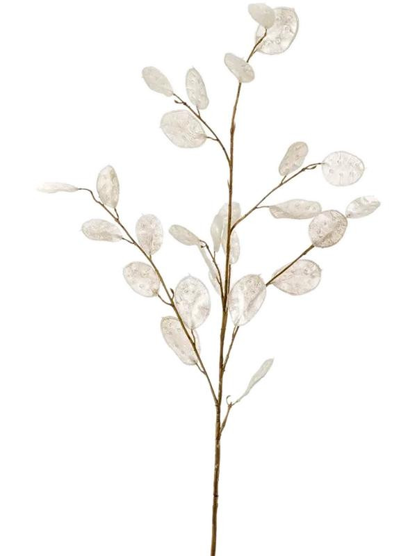 Lunaria spray cream