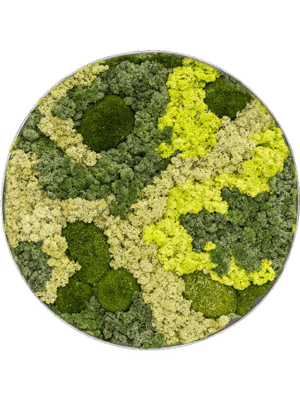 Картина из мха nova frame natural-concrete 30% ball moss 70% reindeer moss (mix)
