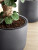 Кашпо Baq ease cylinder anthracite
