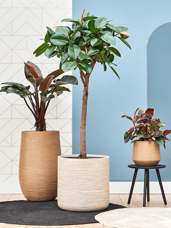 Кашпо Baq dune cylinder beige