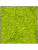 Картина из мха nova frame natural-concrete reindeer moss (spring green)
