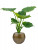 Кашпо Capi lux terrazzo vase ball black gold