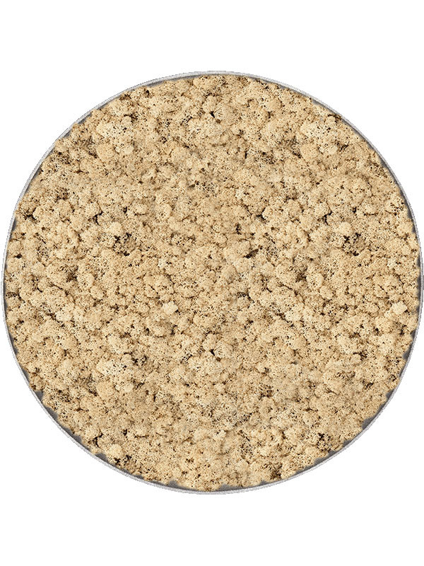 Картина из мха nova frame natural-concrete 100% reindeer (natural)