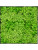 Картина из мха nova frame anthracite-concrete 100% reindeer (light grass green)