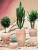Кашпо Terra antica roma chalk white