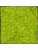 Картина из мха nova frame anthracite-concrete reindeer moss (spring green)