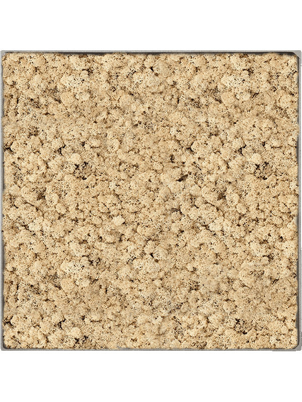 Картина из мха nova frame natural-concrete 100% reindeer (natural)