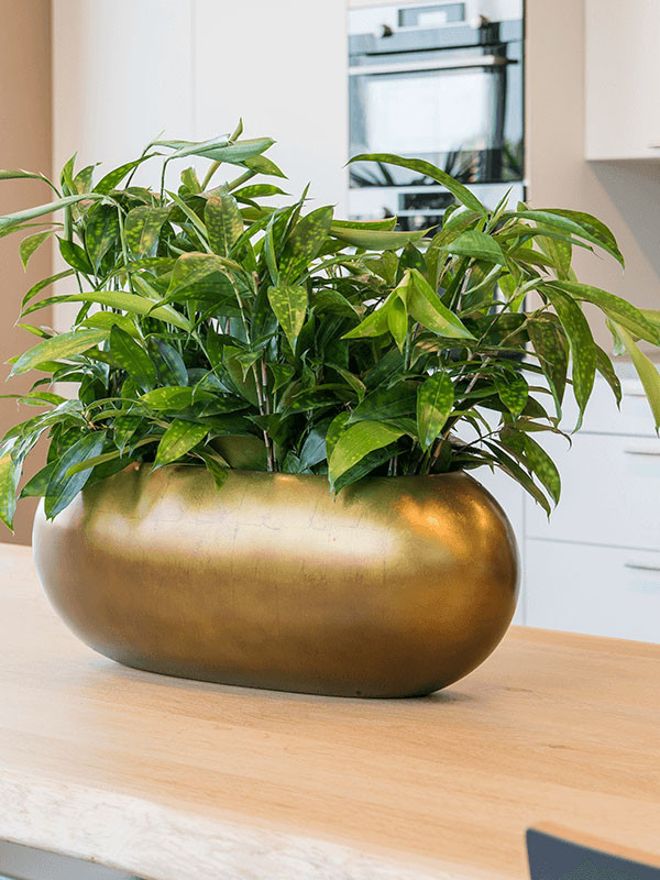 Кашпо Baq metallic silver leaf boat matt honey