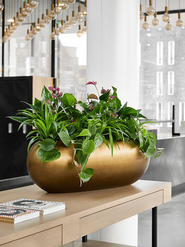 Кашпо Baq metallic silver leaf boat matt honey