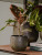 Кашпо Zembla pot green