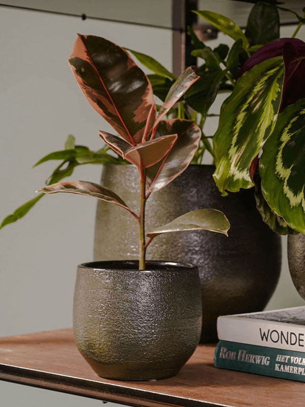 Кашпо Zembla pot green