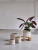 Кашпо Tact orchidpot light grey