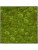 Картина из мха nova frame natural-concrete 100% ball moss