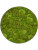 Картина из мха nova frame natural-concrete 100% ball moss