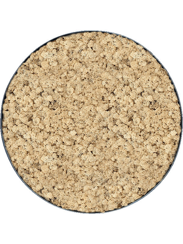 Картина из мха nova frame anthracite-concrete 100% reindeer (natural)