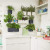 Кашпо Lechuza Green Wall Home Kit Color (белый) с автополивом