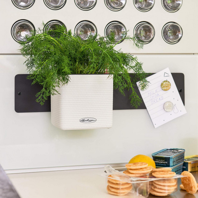 Кашпо Lechuza Green Wall Home Kit Color (белый) с автополивом