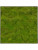 Картина из мха nova frame natural-concrete 100% flat moss