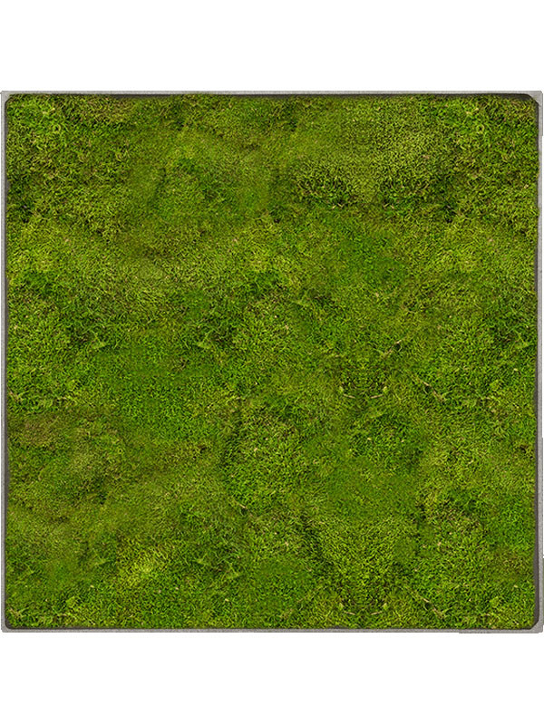 Картина из мха nova frame natural-concrete 100% flat moss