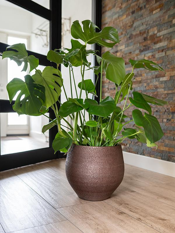 Кашпо Noor pot velvet brown