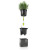 Кашпо Lechuza Green Wall Home Kit Glossy (красный лакированный) с автополивом