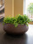 Кашпо Noor bowl velvet brown
