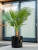 Кашпо Cylinder pot black