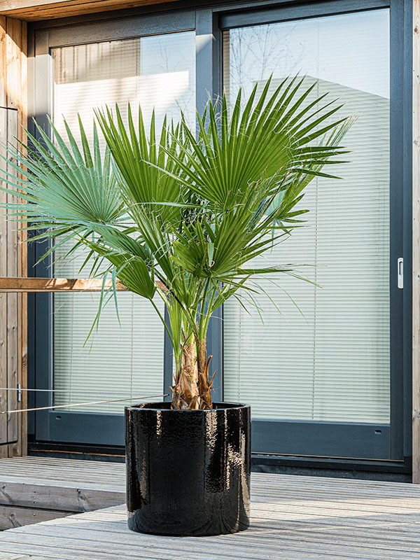 Кашпо Cylinder pot black
