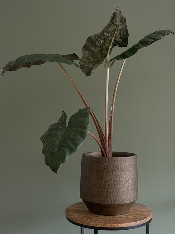 Кашпо Norell pot chestnut