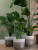 Кашпо Tara pot forest