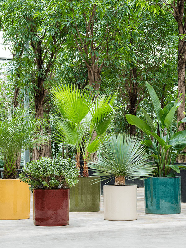 Кашпо Cylinder pot gold