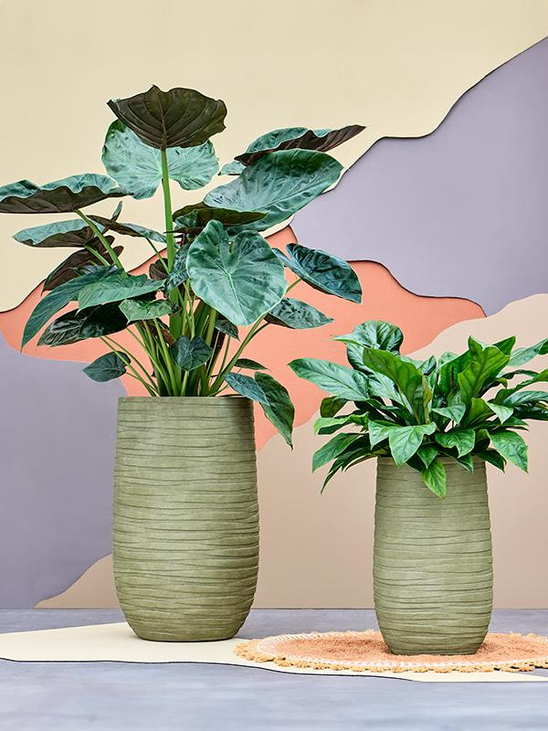 Кашпо Baq tornado partner green